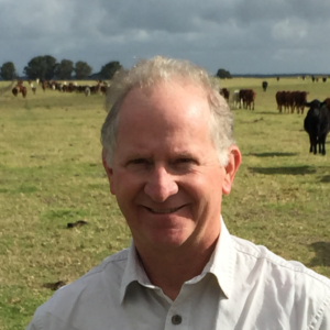 Steve Meerwald